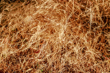 Beautiful scenery of nature