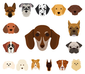 Dog breeds cartoon icons in set collection for design.Muzzle of a dog vector symbol stock web illustration.