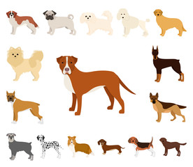 Dog breeds cartoon icons in set collection for design.Dog pet vector symbol stock web illustration.