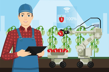 Robot sweeper picks sweet pepper. Smart farming. Technology in agriculture.
