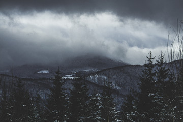 Winter landscape in Carpathian mountains, Hryniavy mountains