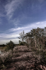 Obraz premium Beautiful scenery of nature