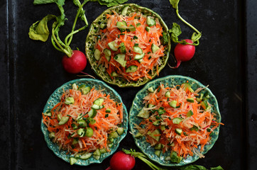 Carrot salad, cucumber and radishes on saucers on a black background