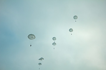 Army paratroopers display at air show festival.