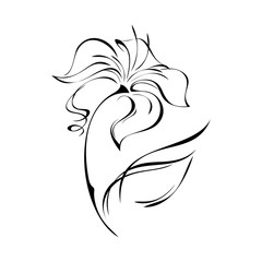 stylized flower on stem with leaf in black lines on white background