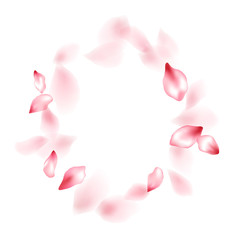 Apricot flower flying petals isolated on white. Idyllic floral background. Japanese sakura petals seasonal confetti, blossom elements flying. Falling cherry blossom flower parts vector.