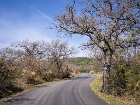 Autumn landscape of the Tuscany seen from asphalt roads in october italy montevarchi chianti