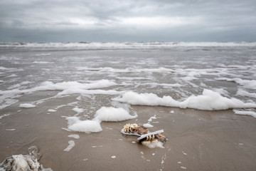 Environmental damage on island Terschelling the Netherlands containers in ocean