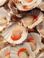 Venedig_Fischmarkt_Jakobsmuschel