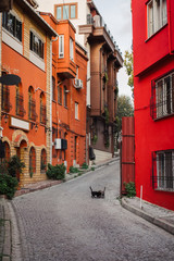 Fototapeta na wymiar Beautiful Istanbul street with old house, Turkey