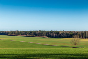 Green field. Warm, snowless winter in the Czech Republic