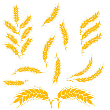 Set gold Wheat Ears Icons. For Identity Style of Natural Product Company. Organic wheat, bread agriculture. Flat design. isolated on white background.