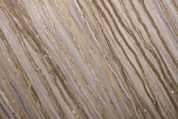 Linien und Strukturen