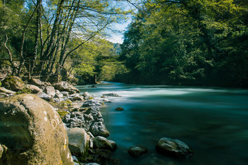 Lao river in forest Italy