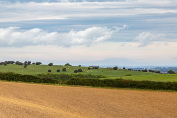 Fototapeta na wymiar A scenic view over Isle of Wight countryside