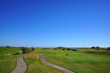 Fototapeta premium Links golf course and ball 