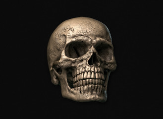 Human skull on Rich Colors a Black Background. The concept of death, horror. A symbol of spooky Halloween. 3d rendering illustration.