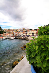 View of the city of Parga with flower in the background