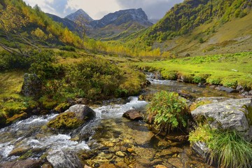 Brook in Caucasus