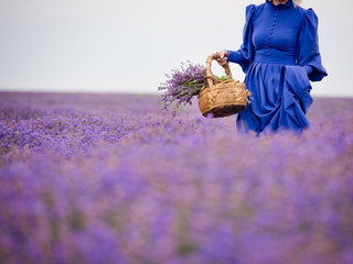 Young girl in blue dress, posing in a lavender field.