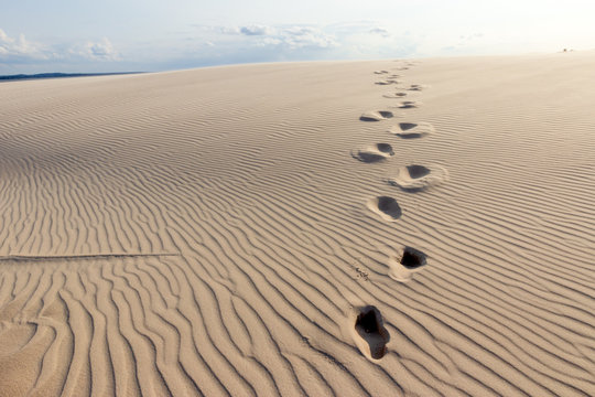 Desert Footsteps