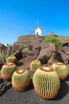 Jardin de Cactus - Lanzarote / Canarias (Spain)