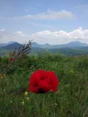 Spring in the mountains