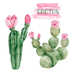 Watercolor cactus and cactus in a flower pot