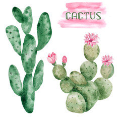 Watercolor cactus and cactus in a flower pot