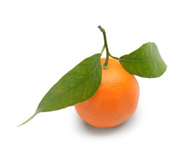 Tasty juicy tangerine on white background