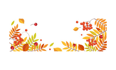 Autumn abstract background with space for text, banner with bright autumn rowan leaves vector Illustration