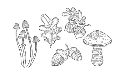 Collection of hand drawn plants, monochrome leaves, mushrooms, hazelnuts and acorns vector Illustration