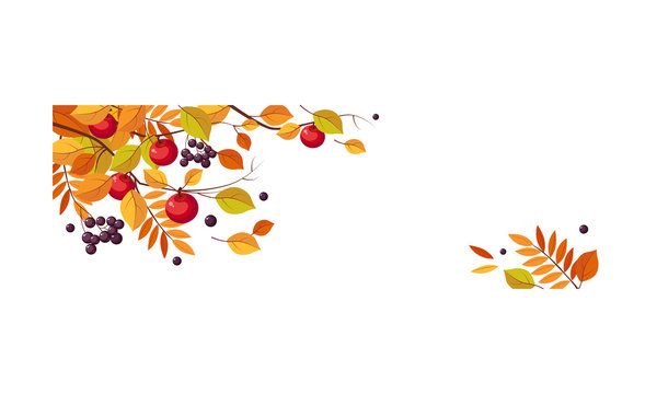 Autumn abstract background with space for text, banner with bright autumn leaves and berries vector Illustration