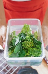 Baby broccoli soaking in plastic box
