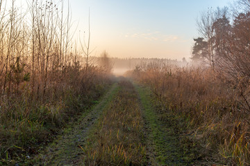 morning mist fog over meadows
