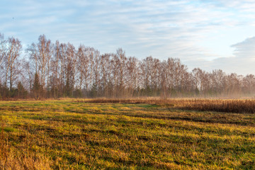 morning mist fog over meadows