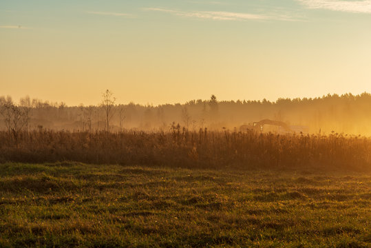 morning mist fog over meadows © Martins Vanags