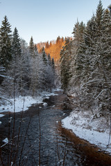forest river in winter. Amata in Latvia