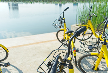 Fototapeta na wymiar Yellow bicycles parking near the lake