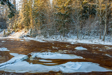 forest river in winter. Amata in Latvia