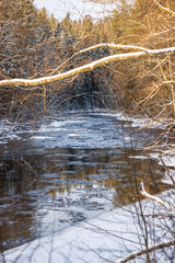 forest river in winter. Amata in Latvia