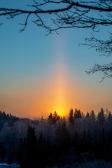 Fototapeta premium cold sunrise in winter forest with sun light pillar