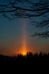 Fototapeta premium cold sunrise in winter forest with sun light pillar