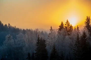 Photo sur Plexiglas Forêt dans le brouillard cold sunrise in winter forest with sun light pillar