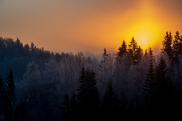 Fototapeta na wymiar cold sunrise in winter forest with sun light pillar