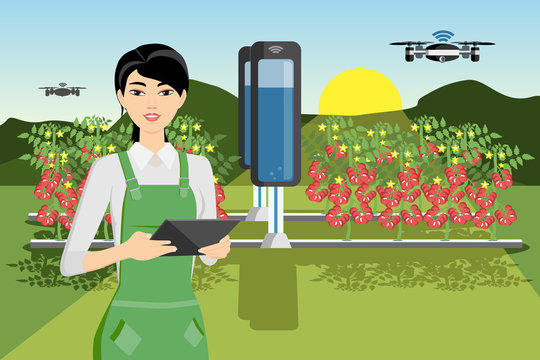 Growing plants in the field. Smart farm with wireless control. Eco farm with aquaponics system and irrigation system. Technology in agricultere. Vector illustration.