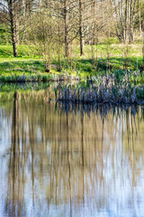 beautiful summer day at the lake, tree reflections in blue water