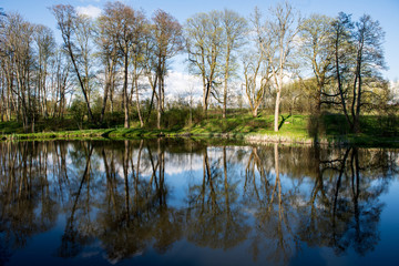 Fototapeta na wymiar beautiful summer day at the lake, tree reflections in blue water