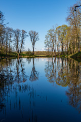 Naklejka na ściany i meble beautiful summer day at the lake, tree reflections in blue water