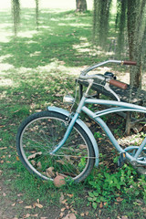 Fototapeta na wymiar Retro style bicycle parking in park